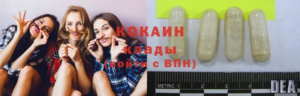 сатива Армянск