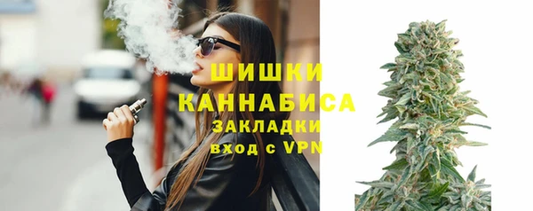 сатива Армянск