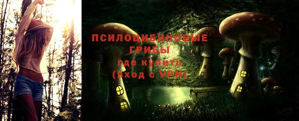 сатива Армянск