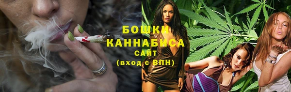 сатива Армянск